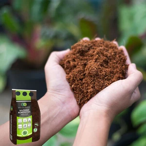 Kokoserde 5L Kokosfasern Blumenerde aus Kokosfaser Kokosnussschalenfasern Sack - Bild 1 von 6