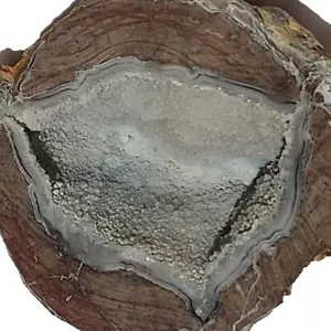 ~2,6 Pfund polierte Dugway Utah Geode/Donnerei Achat Quarz blauer Chalcedon - Bild 1 von 15