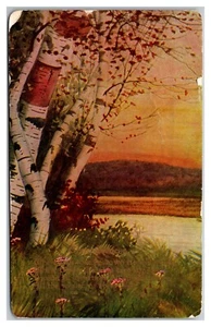Birch Trees - Picture 1 of 2
