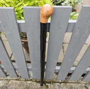 Handcrafted Irish Blackthorn Walking Stick with Polished Wood Handle - Picture 1 of 6