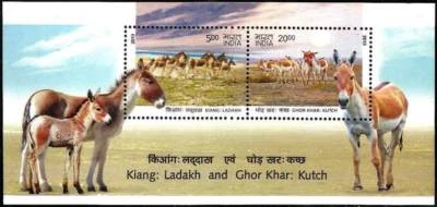 India 2013 Wild Ass Kiang Ladakh Kutch Ghor Khar Animals Mammal Miniature sheet  - Image 1 of 2