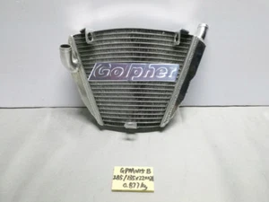DUCATI 848 1098 STREETFIGHTER 09-15 LOWER RACING RADIATOR - Picture 1 of 1