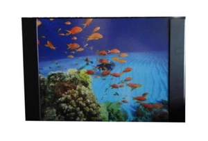Schreibtischunterlage 68x44cm / mit Fische - Bild 1 von 1