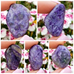 Piedra preciosa natural curativa cristal pulido caído forma libre de Charoite - 5 piezas #1 - Imagen 1 de 4