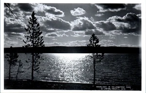Moonlight in Yellowstone Park, Lucier Powell, Wyoming B/W Photograph - Picture 1 of 2