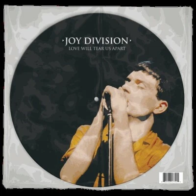 Joy Division ‎– Love Will Tear Us Apart BRAND NEW PICTURE DISC Foto 1 de 4