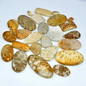 25Pcs 978Ct Natural Fossil Coral Loose Cabochon Gemstone Lot 50x25 15x9mm #3154 - Picture 1 of 6