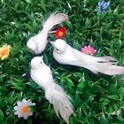 1PC White Feather Artificial Foam Doves Lover Peace Doves Bird Home Decor N62AU