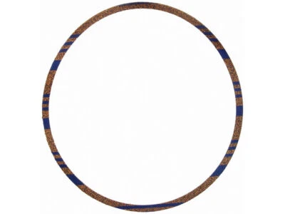 Junta de cubierta de carcasa de eje trasera Felpro 81516TMHH para Bricklin SV-1 1974-1975 Foto 1 de 2