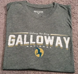 Levelwear Galloway National Golf Club grün kurzärmliges T-Shirt Herren Large - Bild 1 von 6