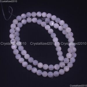 Natural White Horseshoe Snail Shell Round Beads 4mm 6mm 8mm 10mm 12mm 14mm 15.5"