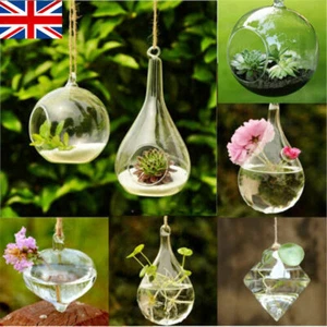 Hanging Glass Ball Vase Plant Flower Pot Terrarium Container Party Wedding Decor - Picture 1 of 12