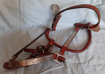 Halter Horse Show - Cuero Lgt Marrón con Plata, Talla Pequeña  Foto 1 de 4