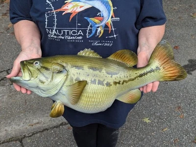 Green 21" Bass Fish Wall Mount Reproduction Taxidermy Decor - Image 1 of 4