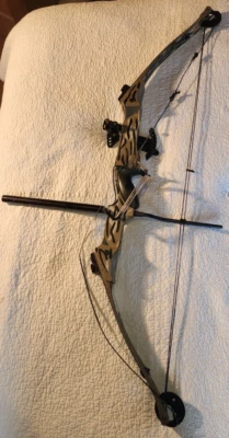 Hoyt FastFlite compound bow right hand needs new string 30"draw 45-60 lbs - Image 1 of 4