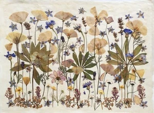 Pressed Flower Collage - Picture 1 of 6