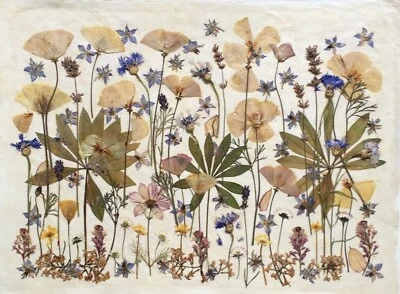 Collage de flores prensadas Foto 1 de 4