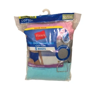 Hanes Ladies 12/5XL Cotton Briefs Set of 5 Mauve Gray Aqua Purple White - Picture 1 of 4