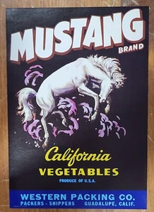 Label Mustang Vegetables Western Packing Guadalupe California Vegetables - Picture 1 of 1