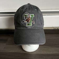 Nike University of Vermont Catamounts Strap Back Hat Soft Fit Gray Adjustable