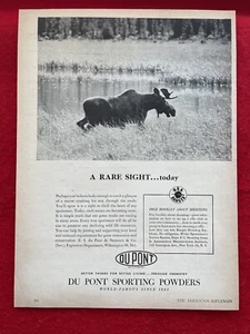 Vintage 1950 Du Pont Sporting Powders Print Ad Moose Gunpowder Ad - Picture 1 of 7