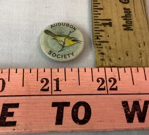 Pinback botón celuloide vintage AUDUBON SOCIETY pájaro garganta amarilla común - Imagen 1 de 2