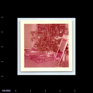 Square Color Photo CHRISTMAS TREE AND SNOW SLED 1956 - Picture 1 of 2