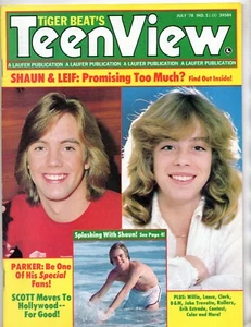 Tiger Beat TEEN VIEW July 1978 SHAUN Leif PARKER Travolta ERIK Rollers OSMONDS + - Picture 1 of 2