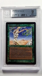 1993 MtG Magic the Gathering Beta Shanodin Dryads Vintage WOTC BGS 9 Mint - Picture 1 of 4