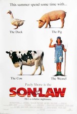 SON IN LAW great original 27x40 D/S movie poster 1993 LAST ONE (th4)