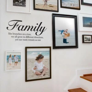 Family Like Branches on a Tree - Quote Lettering Wall Decal - Picture 1 of 7
