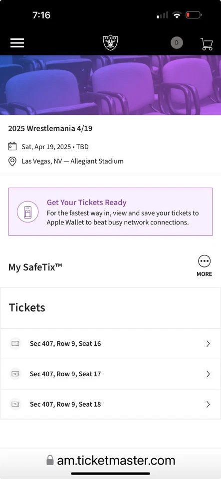 摔角狂热41门票! 拉斯维加斯! — 第 1/1 张图片