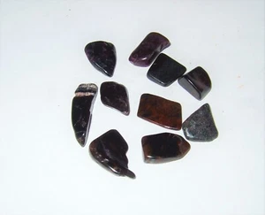 - Mineralien Burattati Kristalltherapie - SUGILITE Lot 10 Stück (A) - Bild 1 von 1