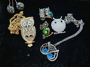 6p Lot Owl Fashion Costume Jewelry Brooch/Pin Necklace Ceramic Eearings Figural - Picture 1 of 20