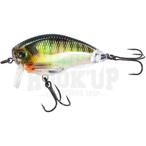 Yo-Zuri 3DR Wake Bait 50 - Picture 1 of 13