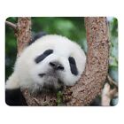 Mousepad  "Großer Panda" - 24x19cm - Moosgummi - Riesenpanda - Pandabär