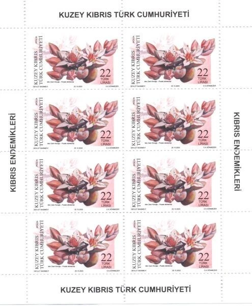 ENDEMIC PLANTS - TURKISH CYPRUS -2023 - SHEETS - Image 1 of 3