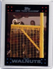 2007 Topps Update & Highlights SSP Poley Walnuts SQ1 New York Yankees Squirrel 
