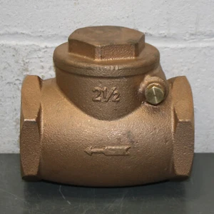 Inline Swing Check Valve 10F296,  2-1/2" NPT, Bronze, 200 PSI CWP, 125 PSI WSP - Picture 1 of 5