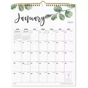 2025-2026 Monthly Wall Calendar Runs from February 2025 to June 202612 x 15 I... - Picture 1 of 6