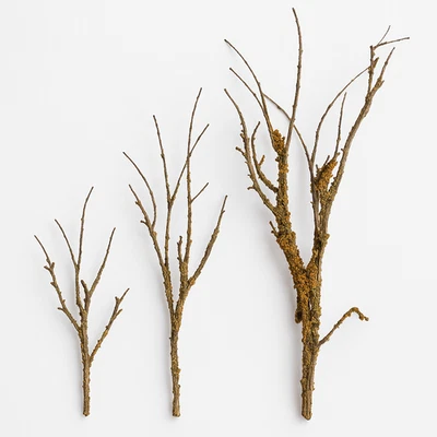 Miniature Natural Wood Branch Reptile Tank Terrariums Model Railroads Crafts - Image 1 of 4