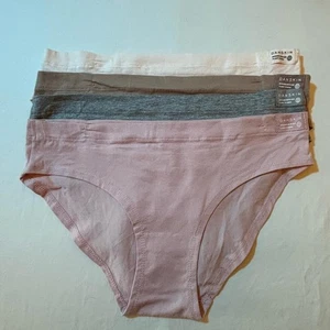 Paquete de 4 calzoncillos Danskin Intimates de mezcla de algodón orgánico talla grande - Imagen 1 de 7