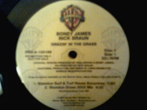Rick Braun / Boney James  2 x 12" Promo single  Grazin' In The Grass ....8 Mixes - Imagen 1 de 4