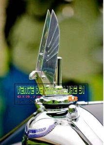 Mascotte auto - sur automobile Voisin - A3 plastifié - Photo 1/24