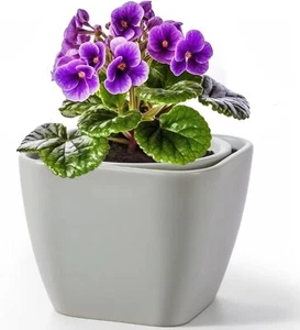 6 Inch Self Watering Pots for Indoor Plants,African Violet 6, Square-white - Picture 1 of 7