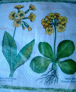 4 StkServietten nicht1Stk. - Bild 1 von 3