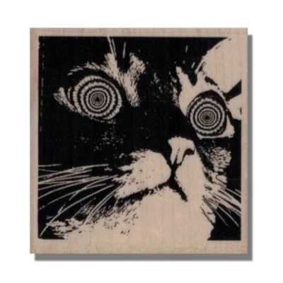 Mounted Rubber Stamp, HYPNOTIC CAT, Cat Face, Eyes, Animal Stamp, Cat Stamp, Pet - Image 1 of 2