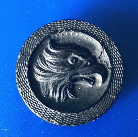 UNUSAL HORN  BIRD EAGLE/HAWK HEAD Button 1" Cover