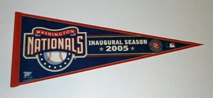 2005 Washington Nationals pennant Inaugural Season 1st Year rare Livan Hernandez - Picture 1 of 1