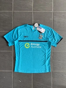 AFL Port Adelaide Power Football Club Training Jersey T Shirt Size Large - Picture 1 of 11